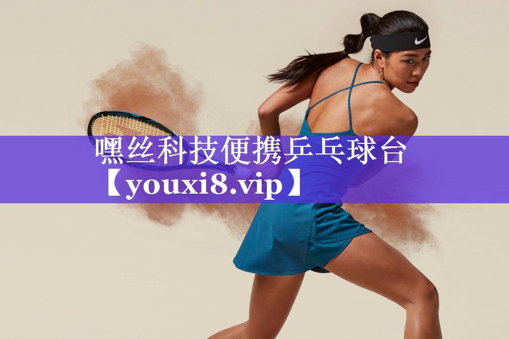 嘿丝科技便携乒乓球台