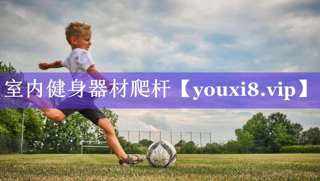 室内健身器材爬杆