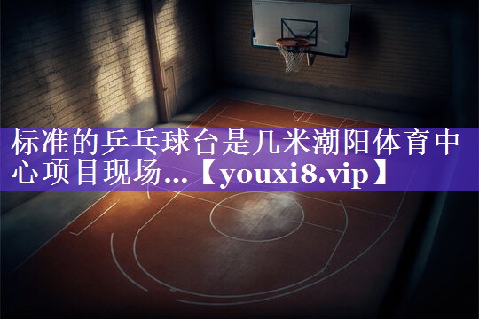 标准的乒乓球台是几米潮阳体育中心项目现场…
