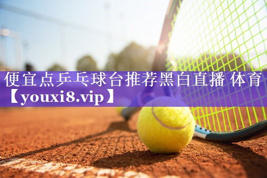 便宜点乒乓球台推荐黑白直播 体育