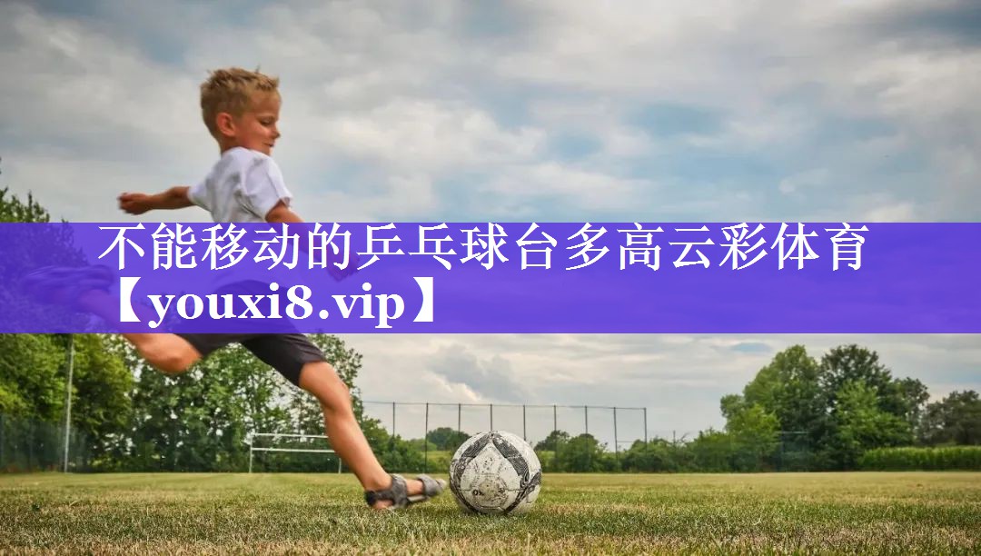 不能移动的乒乓球台多高云彩体育