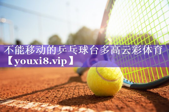 不能移动的乒乓球台多高云彩体育