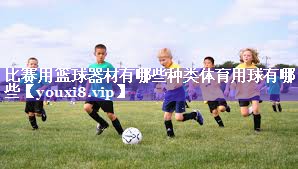 比赛用篮球器材有哪些种类体育用球有哪些