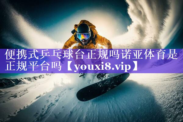 便携式乒乓球台正规吗诺亚体育是正规平台吗
