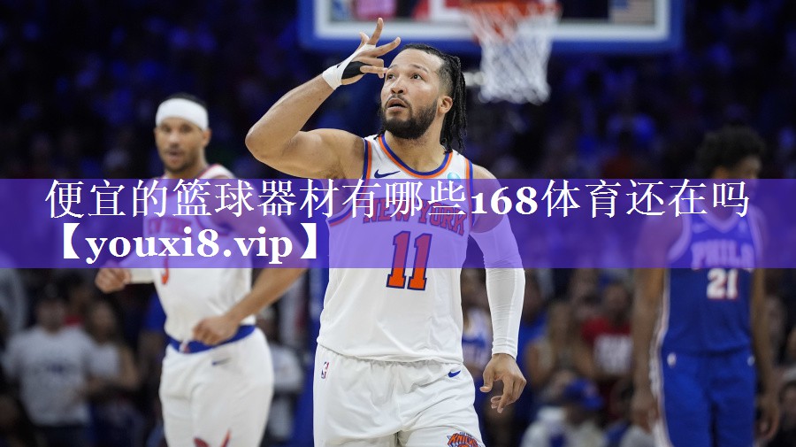 便宜的篮球器材有哪些168体育还在吗