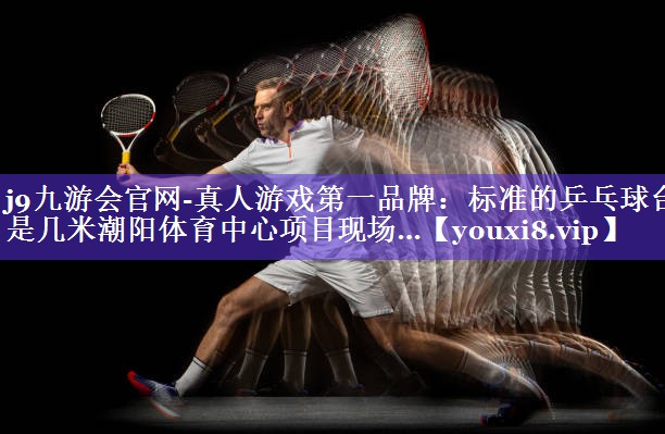 j9九游会官网-真人游戏第一品牌：标准的乒乓球台是几米潮阳体育中心项目现场…