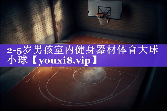 2-5岁男孩室内健身器材体育大球小球