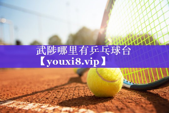 武陟哪里有乒乓球台 武陟哪里有乒乓球台